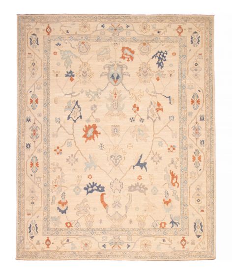 Bordered  Transitional Ivory Area rug 12x15 Pakistani Hand-knotted 382339