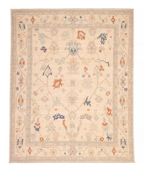 Bordered  Transitional Grey Area rug 12x15 Pakistani Hand-knotted 382341