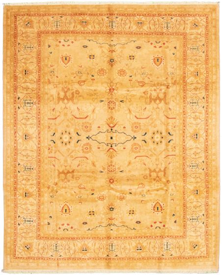 Bordered  Traditional Ivory Area rug 8x10 Pakistani Hand-knotted 337916