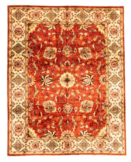Bordered  Traditional Brown Area rug 6x9 Afghan Hand-knotted 346561