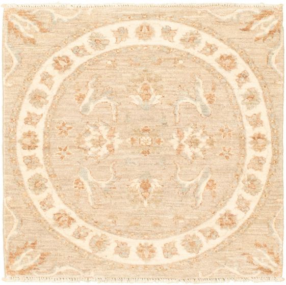 Bordered  Traditional Grey Area rug Square Pakistani Hand-knotted 318640