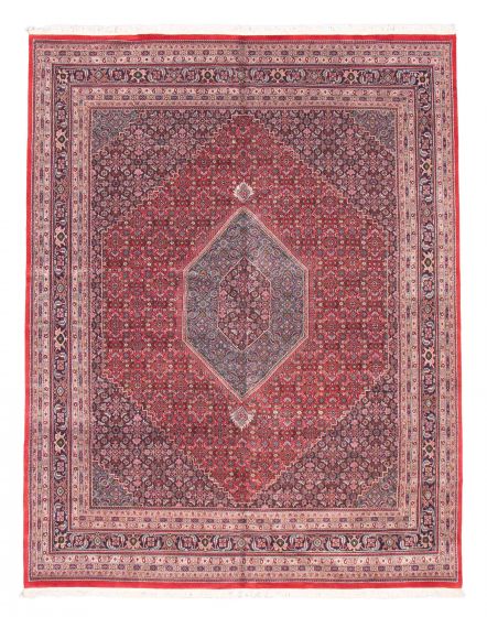 Bordered  Traditional Red Area rug 9x12 Indian Hand-knotted 376199
