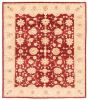Bordered  Traditional Red Area rug 6x9 Afghan Hand-knotted 379263