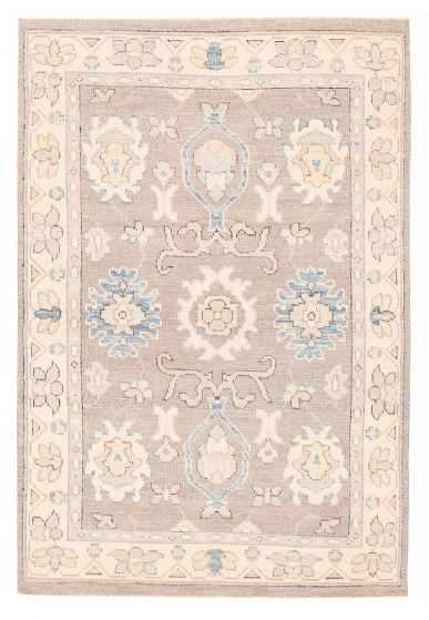 Bordered  Transitional Grey Area rug 3x5 Pakistani Hand-knotted 382201