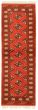 Bordered  Tribal Brown Runner rug 6-ft-runner Turkmenistan Hand-knotted 332740