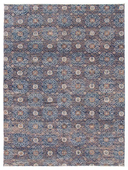 Transitional Blue Area rug 10x14 Indian Hand-knotted 388846