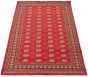 Bordered  Tribal Red Area rug 5x8 Pakistani Hand-knotted 305729