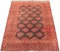 Bordered  Tribal Brown Area rug 5x8 Afghan Hand-knotted 320312