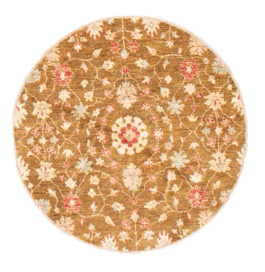 Floral  Transitional Green Area rug Round Pakistani Hand-knotted 373831
