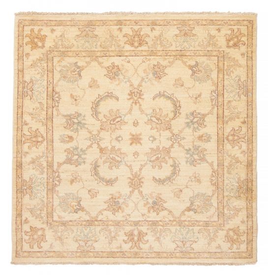 Bordered  Traditional Ivory Area rug Square Pakistani Hand-knotted 376100