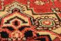 Floral  Traditional Red Runner rug 12-ft-runner Indian Hand-knotted 237541