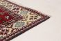 Bohemian  Geometric Red Area rug 5x8 Indian Hand-knotted 269623