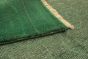 Indian Vibrance 7'11" x 9'10" Hand-knotted Wool Green Rug