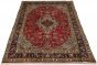 Bordered  Traditional Red Area rug 6x9 Persian Hand-knotted 302658