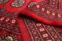 Pakistani Finest Peshawar Bokhara 6'1" x 9'1" Hand-knotted Wool Rug 