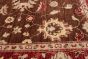Afghan Chobi Finest 4'1" x 6'2" Hand-knotted Wool Rug 