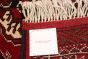 Turkmenistan Turkman 3'4" x 4'11" Hand-knotted Wool Rug 