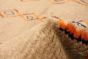 Pakistani Pak Finest Marrakesh 5'11" x 9'3" Hand-knotted Wool Rug 