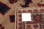 Afghan Rare War 6'7" x 9'11" Hand-knotted Wool Rug 