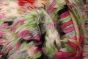 Pakistani Marrakech 5'5" x 7'10" Hand-knotted Wool Rug 