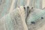 Indo Gabbeh 6'7" x 9'10" Hand Loomed Wool Rug 