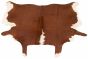 Argentina Cowhide 5'1" x 5'6" Handmade Leather Rug 
