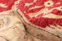Afghan Chobi Finest 4'8" x 6'9" Hand-knotted Wool Rug 