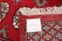 Pakistani Finest Peshawar Bokhara 5'2" x 8'2" Hand-knotted Wool Rug 