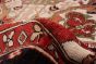 Afghan Aryana 9'10" x 13'8" Hand-knotted Wool Rug 