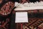 Pakistani Finest Peshawar Bokhara 9'11" x 13'7" Hand-knotted Wool Rug 