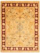 Bordered  Traditional Ivory Area rug 9x12 Pakistani Hand-knotted 337670