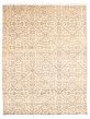 Moroccan  Tribal Ivory Area rug 9x12 Pakistani Hand-knotted 339465