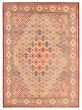 Bordered  Traditional Red Area rug 9x12 Afghan Hand-knotted 363319