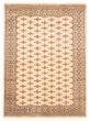 Bordered  Traditional Ivory Area rug 5x8 Pakistani Hand-knotted 364217