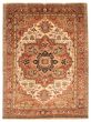 Bordered  Traditional Ivory Area rug 9x12 Indian Hand-knotted 370197