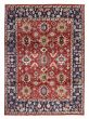 Bordered  Traditional Red Area rug 9x12 Indian Hand-knotted 378913