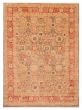 Bordered  Transitional Ivory Area rug 9x12 Pakistani Hand-knotted 391533
