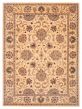 Bordered  Traditional Ivory Area rug 8x10 Chinese Hand Tufted 392045