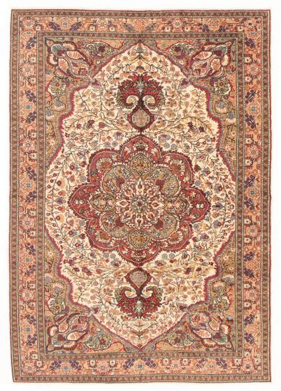 Bordered  Traditional Ivory Area rug 6x9 Turkish Hand-knotted 347805