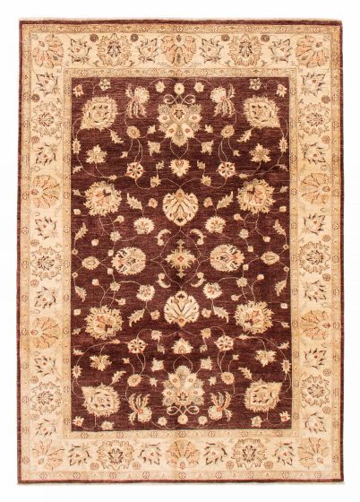 Bordered  Traditional Brown Area rug 6x9 Afghan Hand-knotted 379107