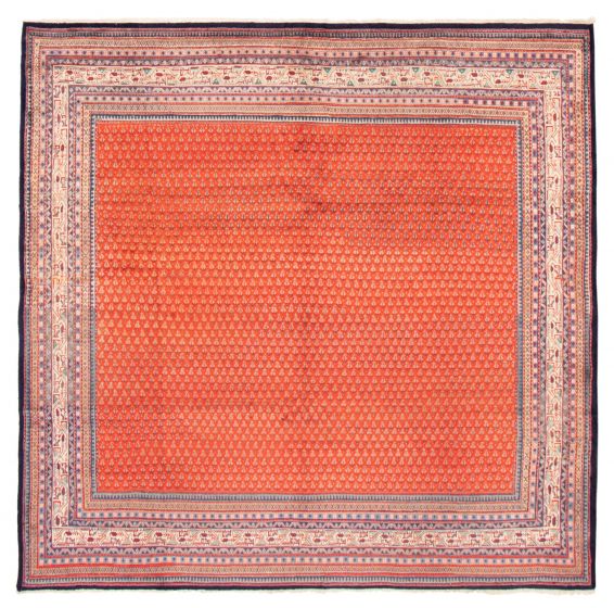 Bordered  Tribal Brown Area rug Square Indian Hand-knotted 372219