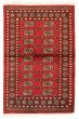 Bordered  Tribal  Area rug 3x5 Pakistani Hand-knotted 328456