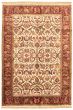 Bordered  Traditional Ivory Area rug 5x8 Indian Hand-knotted 335493