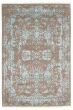 Transitional Grey Area rug 4x6 Indian Hand-knotted 350304