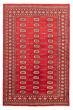 Bordered  Tribal Red Area rug 5x8 Pakistani Hand-knotted 359472