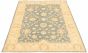 Bordered  Traditional Ivory Area rug 5x8 Pakistani Hand-knotted 319852