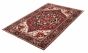 Indian Serapi Heritage 5'11" x 9'2" Hand-knotted Wool Rug 