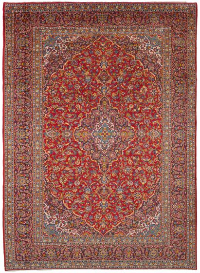 Bordered  Traditional Red Area rug 9x12 Persian Hand-knotted 250047
