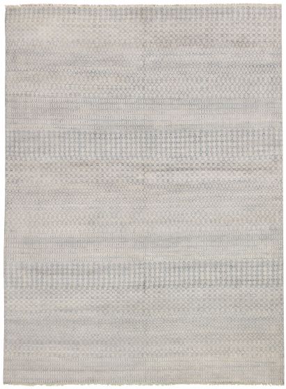 Casual  Transitional Grey Area rug 9x12 Indian Hand-knotted 332001