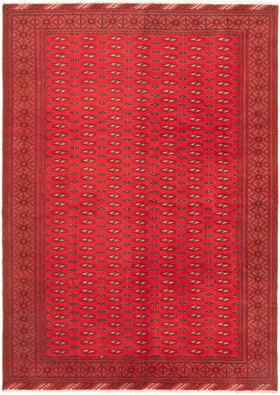 Bordered  Traditional Red Area rug 6x9 Russia Hand-knotted 319366